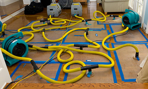 Professional Crawl Space Water Removal technician working in Bridgeport, MI
