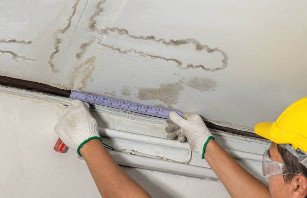 Affordable Water Damage Repair solutions in Bridgeport, MI